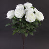 19"ROSE BUSH X9