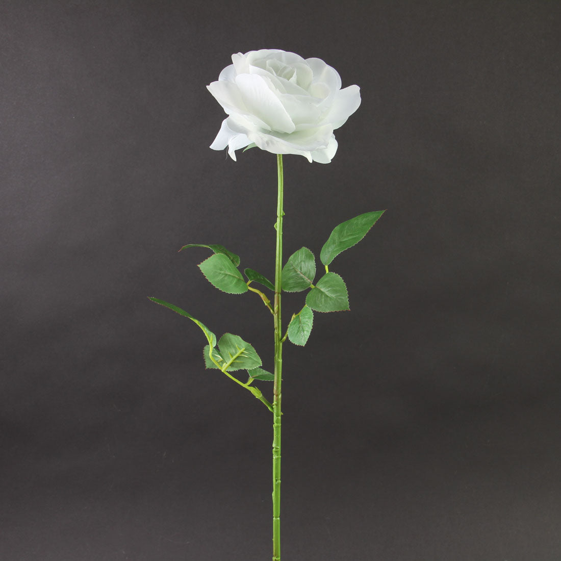 27.5"ROSE SPRAY CREAM