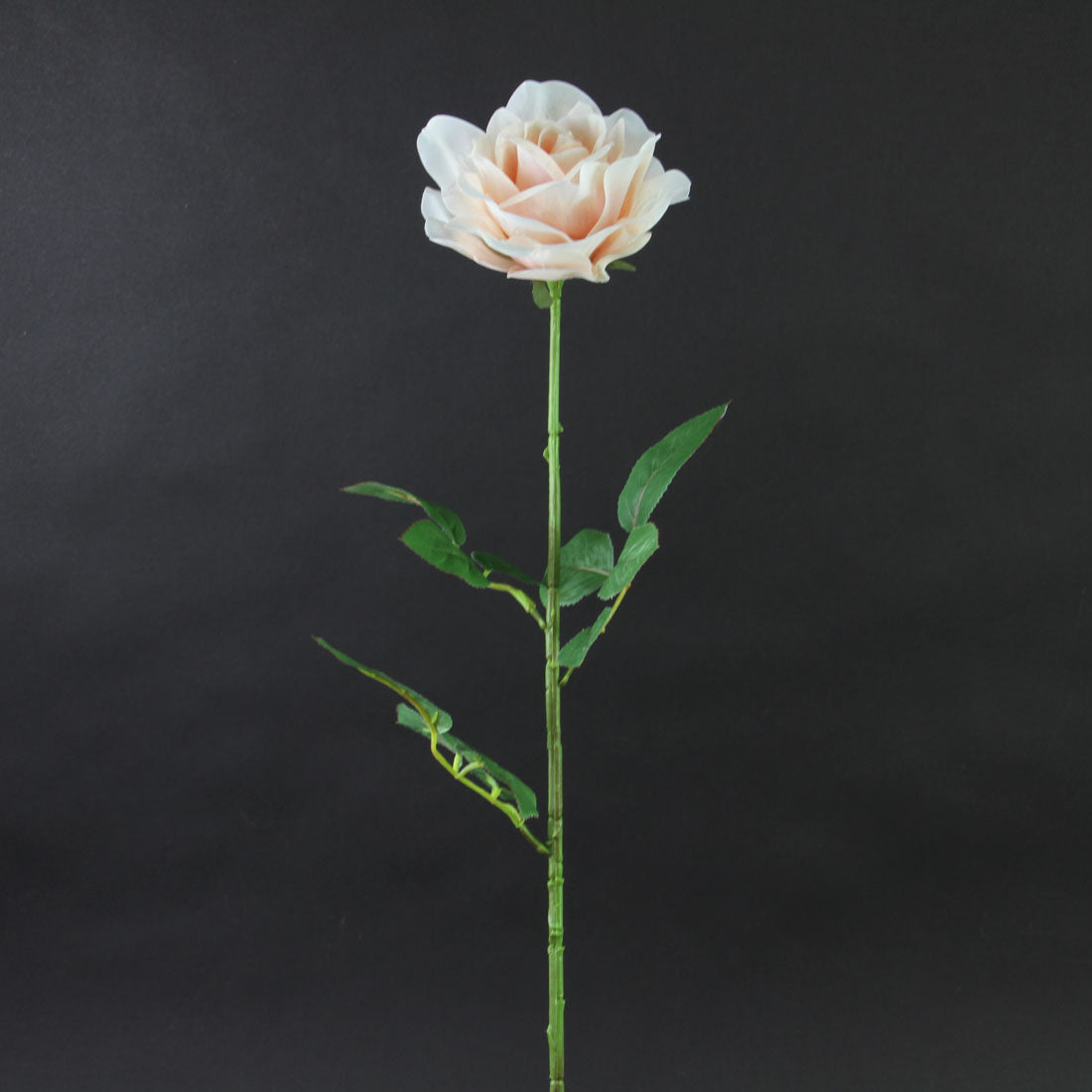 27.5"ROSE SPRAY PEACH