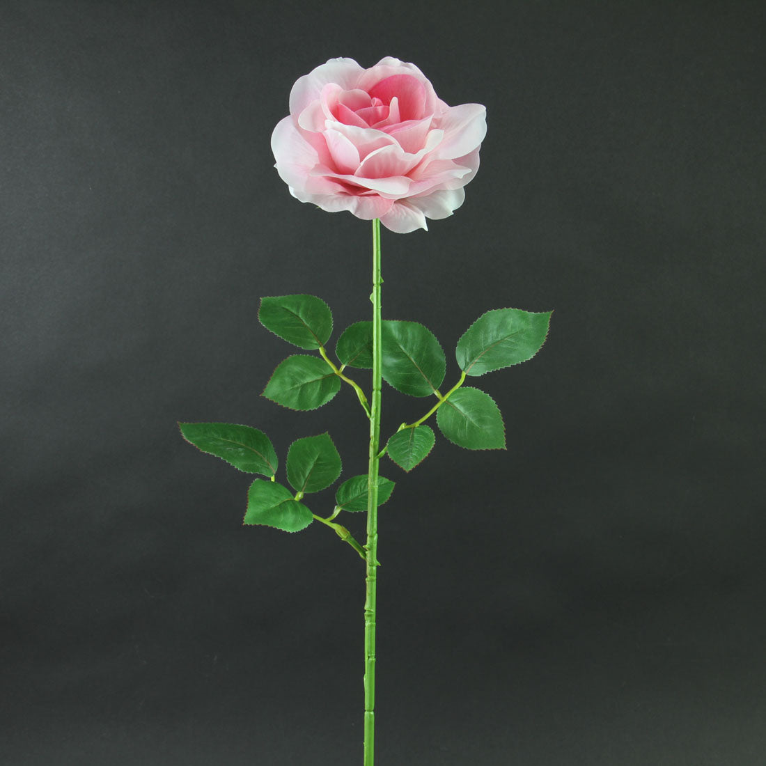 27.5"ROSE SPRAY PINK