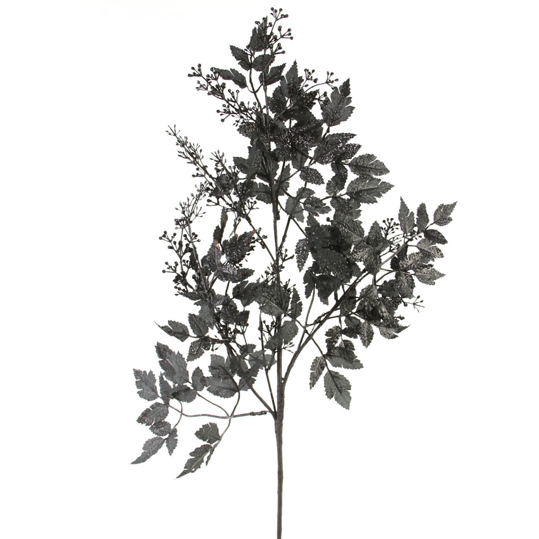 34"BLACK COHOSH LEAF