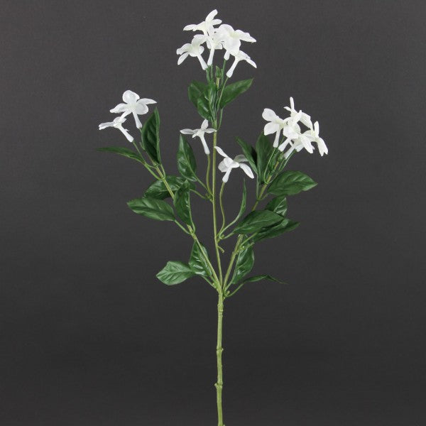 25" STEPHANOTIS SPRAY