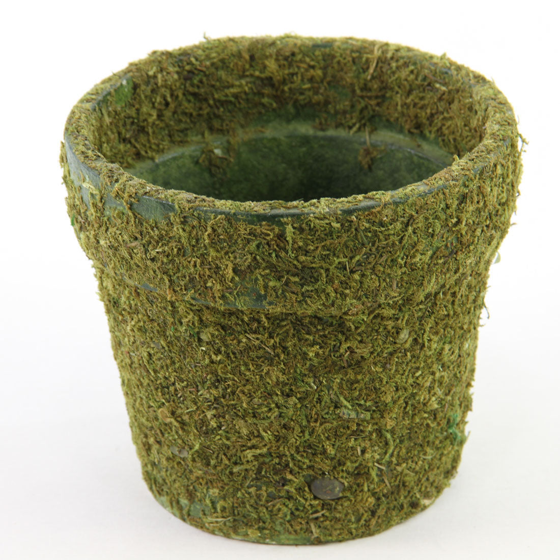 6" MOSS POT