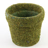 6" MOSS POT