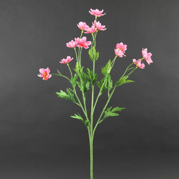 27"COSMOS MINI A4
