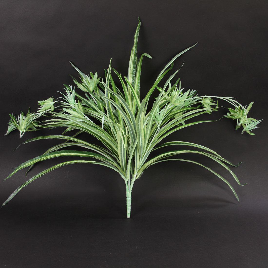 27" SPIDER PLANT A25