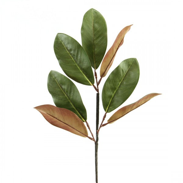 24"MAGNOLIA LEAF SPRAY