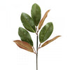 24"MAGNOLIA LEAF SPRAY