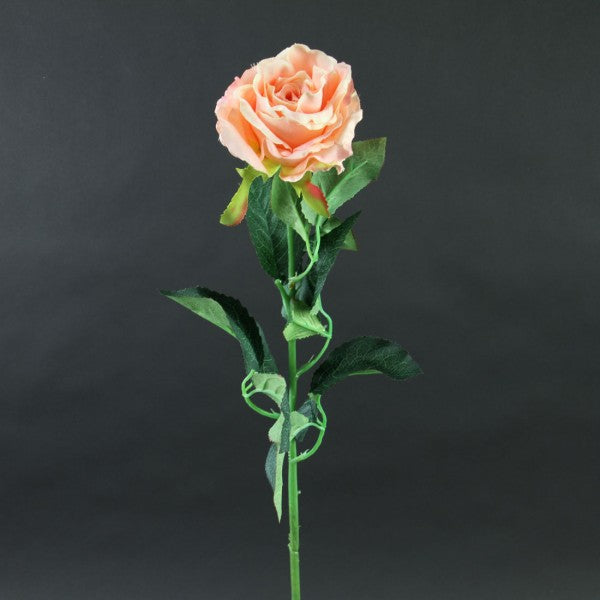 33"LG.OPEN GARDEN ROSE A4