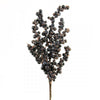15"BLUE BERRY PICK A4