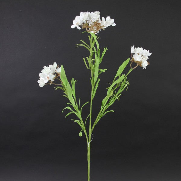 32"GERANIUM STEM A4