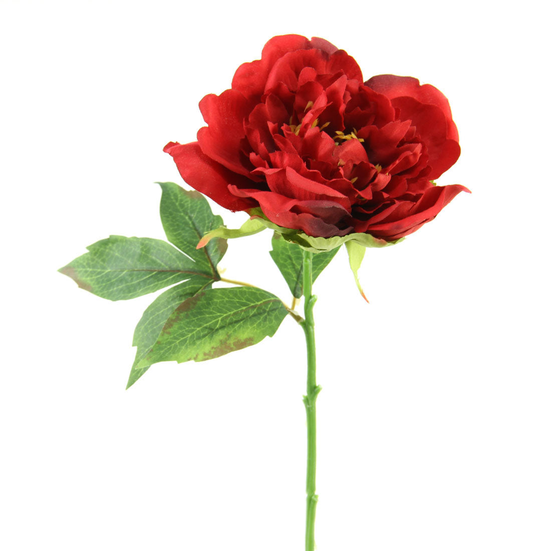 13.5"PEONY SHORT STEM RED