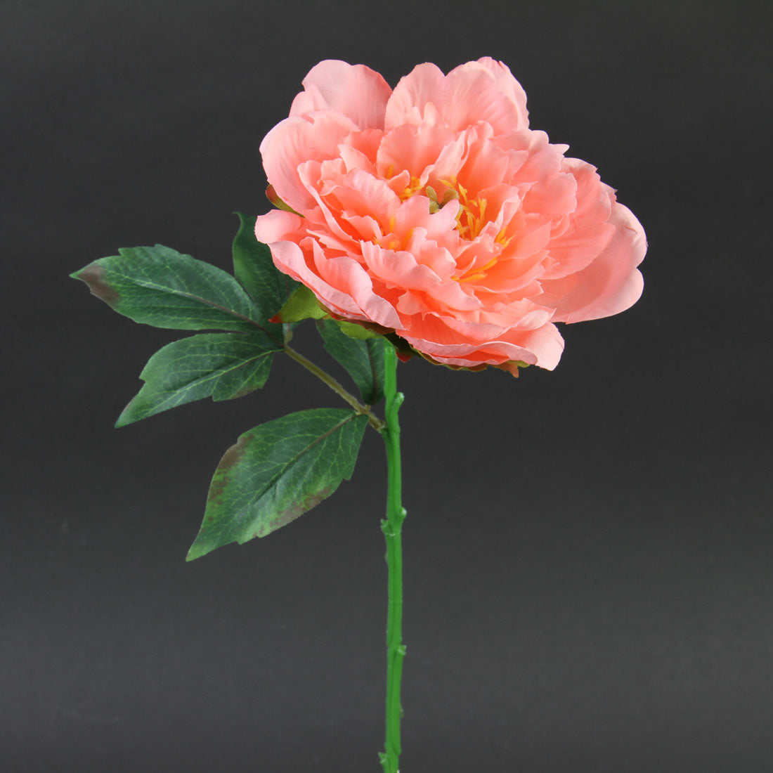 13.5"PEONY SHORT STEM CORAL