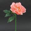 13.5"PEONY SHORT STEM CORAL