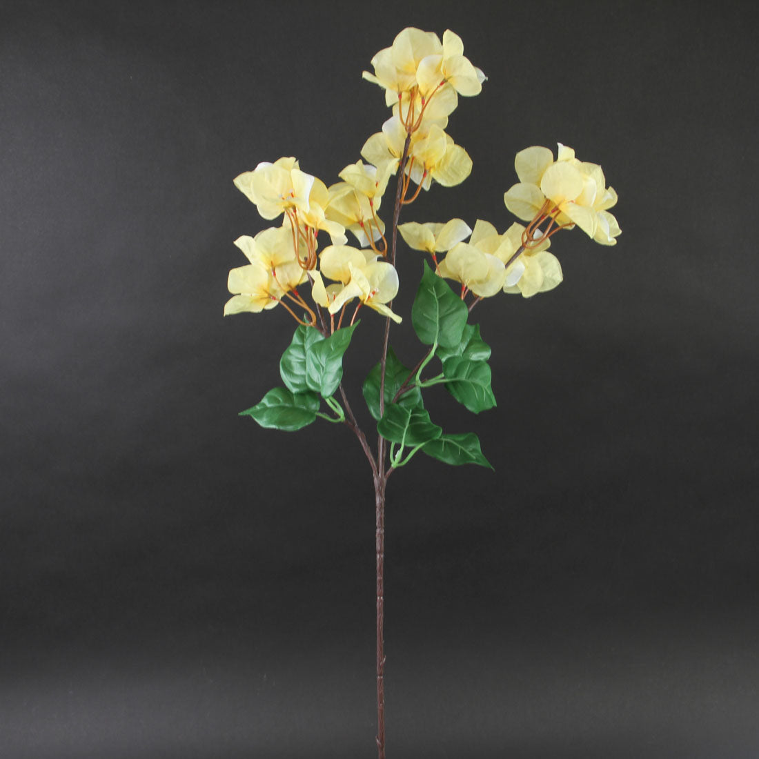 30"BOUGAINVILLEA SPRAY YELLOW