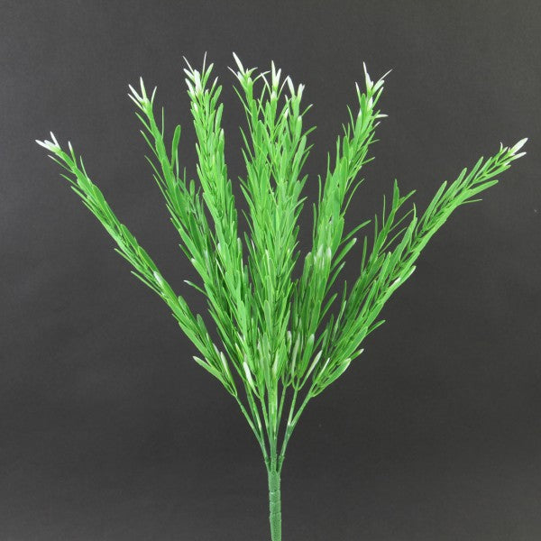 18"LEPTO FERN BUSH A25