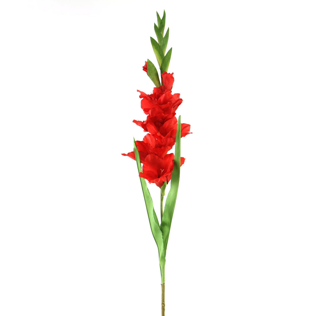 36.5"GLADIOLUS SPRAY RED