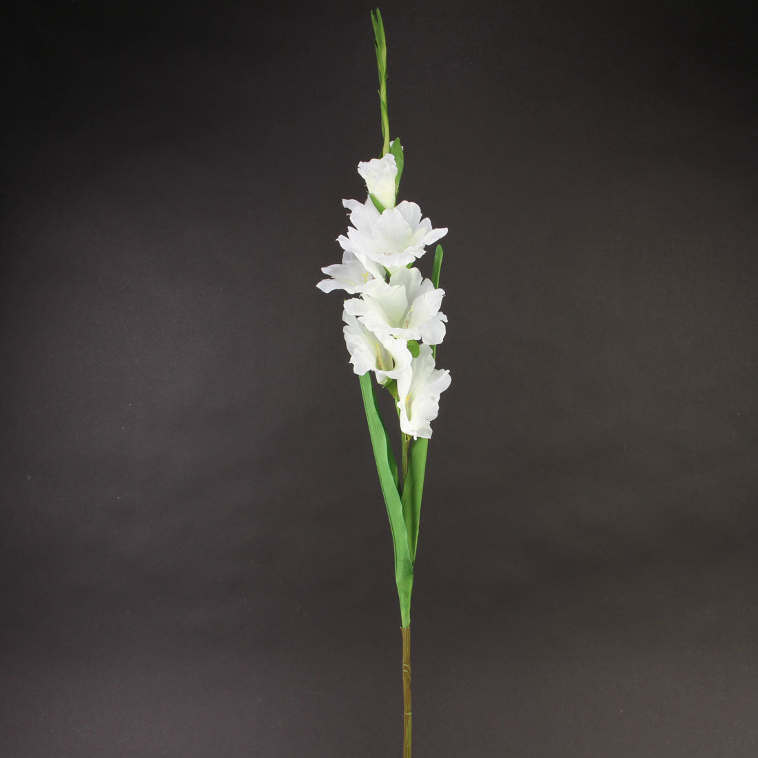 36.5" GLADIOLUS SPRAY WHITE