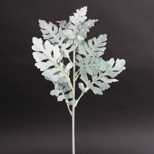 24"DUSTY MILLER STEM