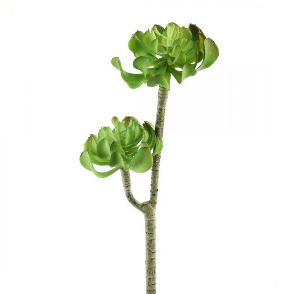 18"ROSETTE SUCCULENT STEM A25