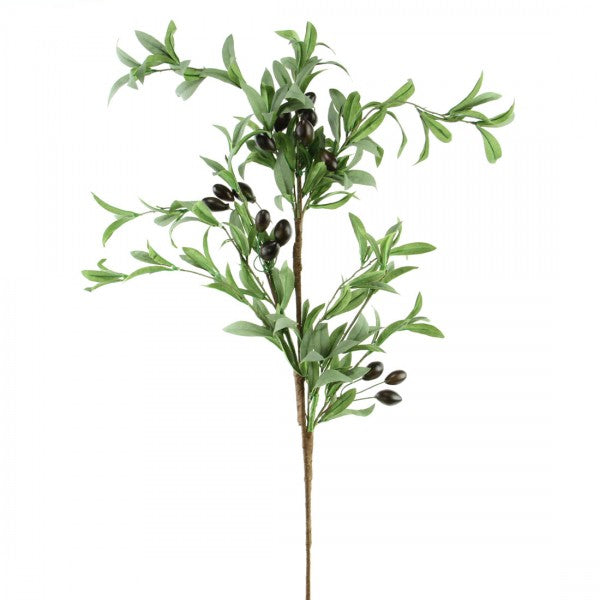 34"OLIVE BRANCH