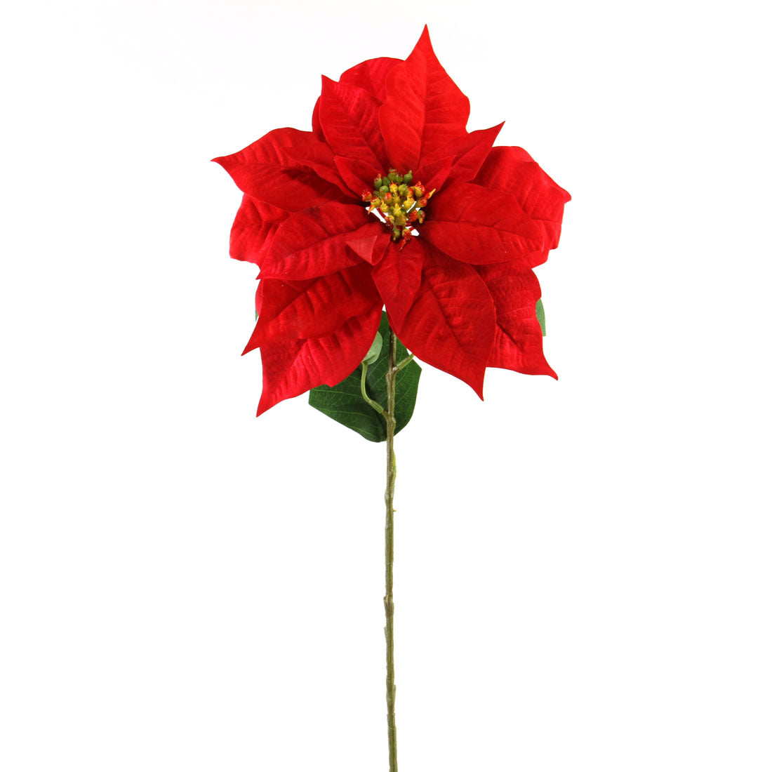 28"POINSETTIA STEM RED