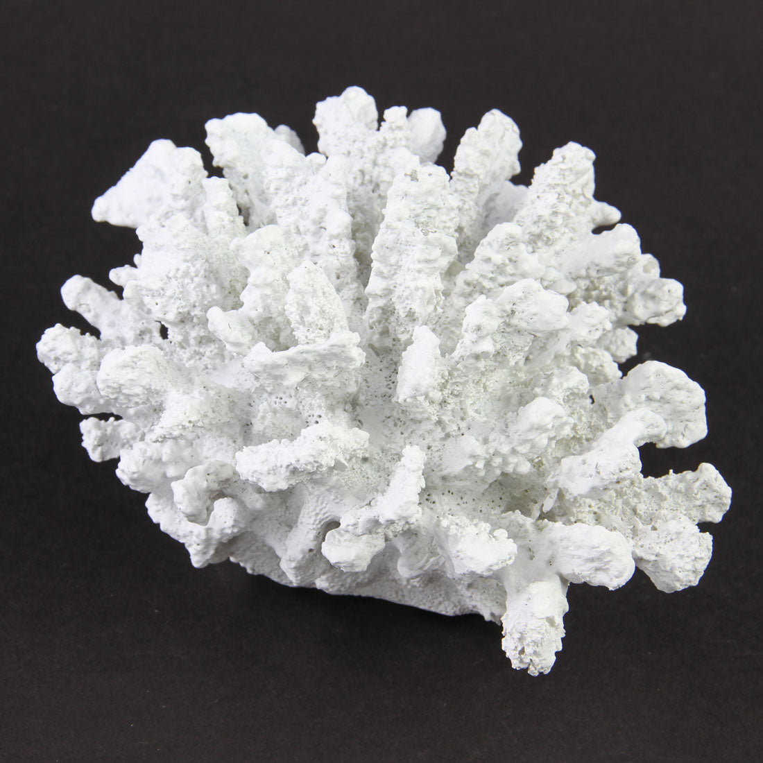8" WHITE CORAL