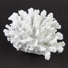 8" WHITE CORAL