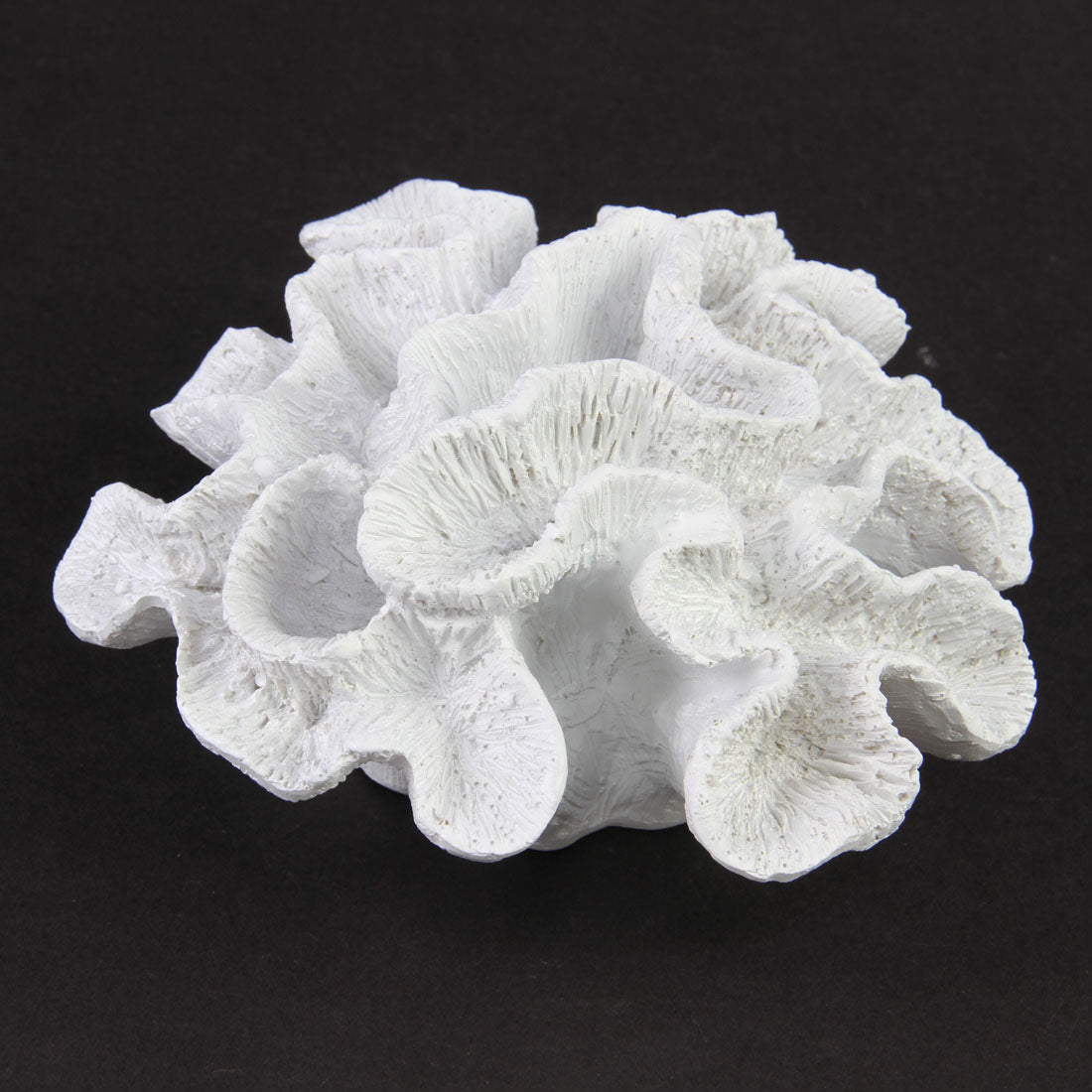 6.25" WHITE CORAL