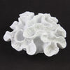 6.25" WHITE CORAL