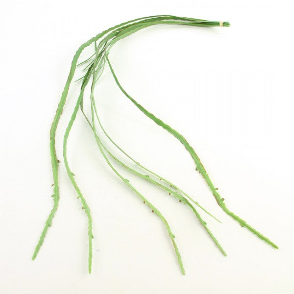 41"CACTUS VINE 6/BU