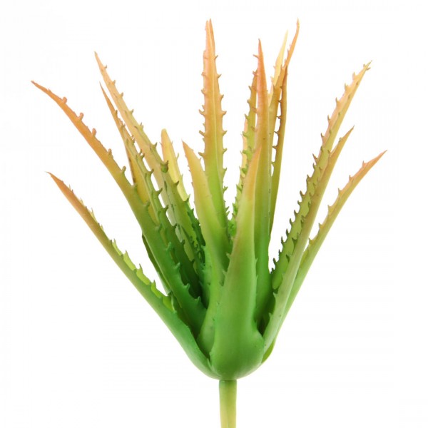 18"LG. ALOE VERA