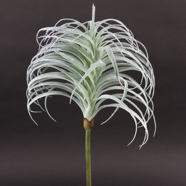 24"AIR PLANT