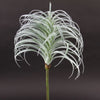 24"AIR PLANT
