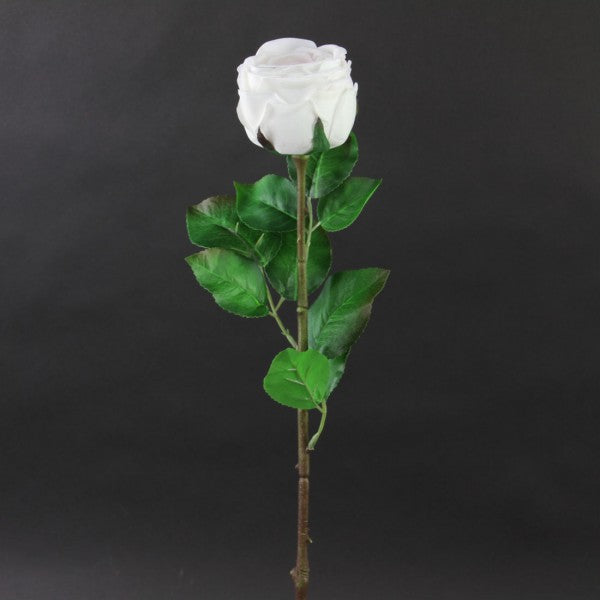 28"CABBAGE ROSE STEM