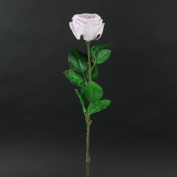 28"CABBAGE ROSE STEM PINK