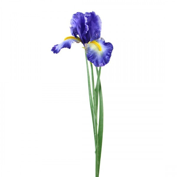 25"IRIS STEM BLUE