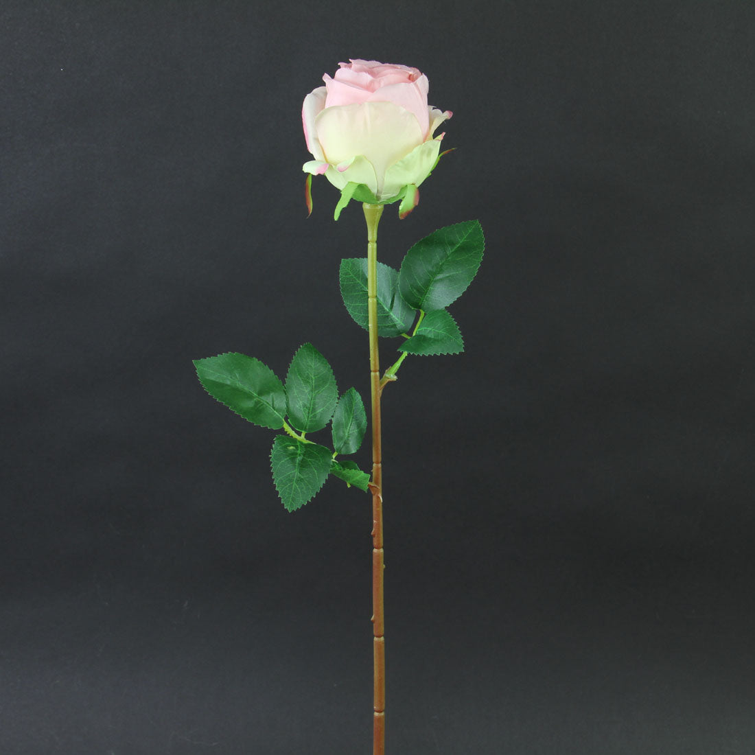 23.5" ROSE STEM