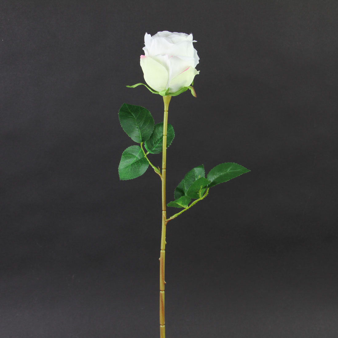23.5" ROSE STEM WHITE