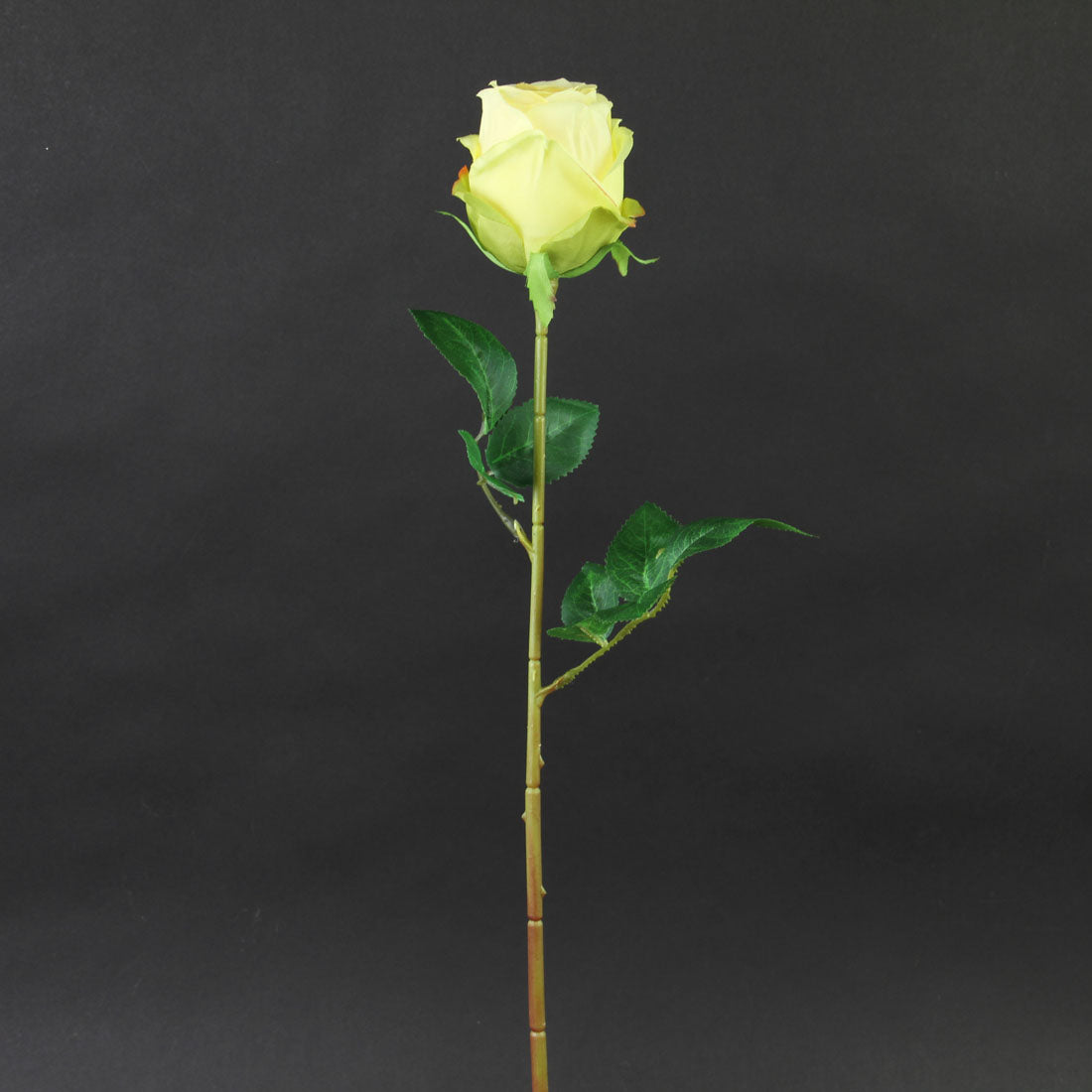 23.5" ROSE STEM YELLOW