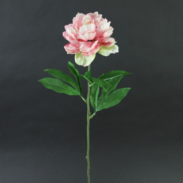 25.5"PEONY STEM