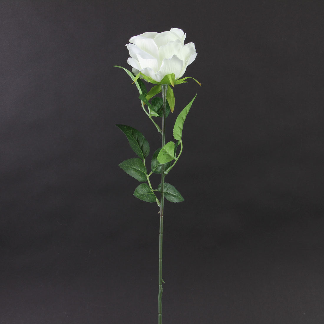 21.5"FAB.ROSE STEM WHITE
