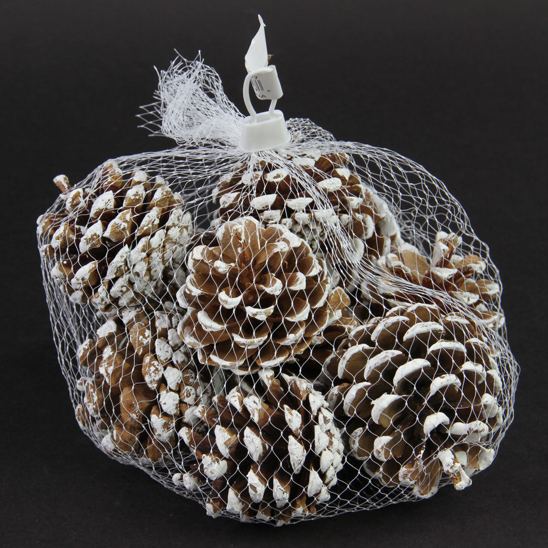 1.75-2.75"PINECONES 10/BG