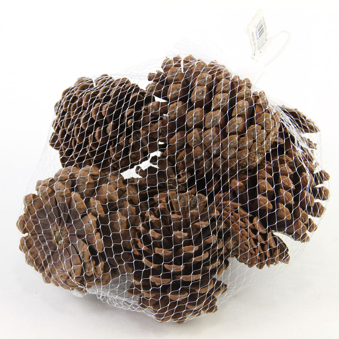 3-3.75"PINECONES 8/BG NATURAL