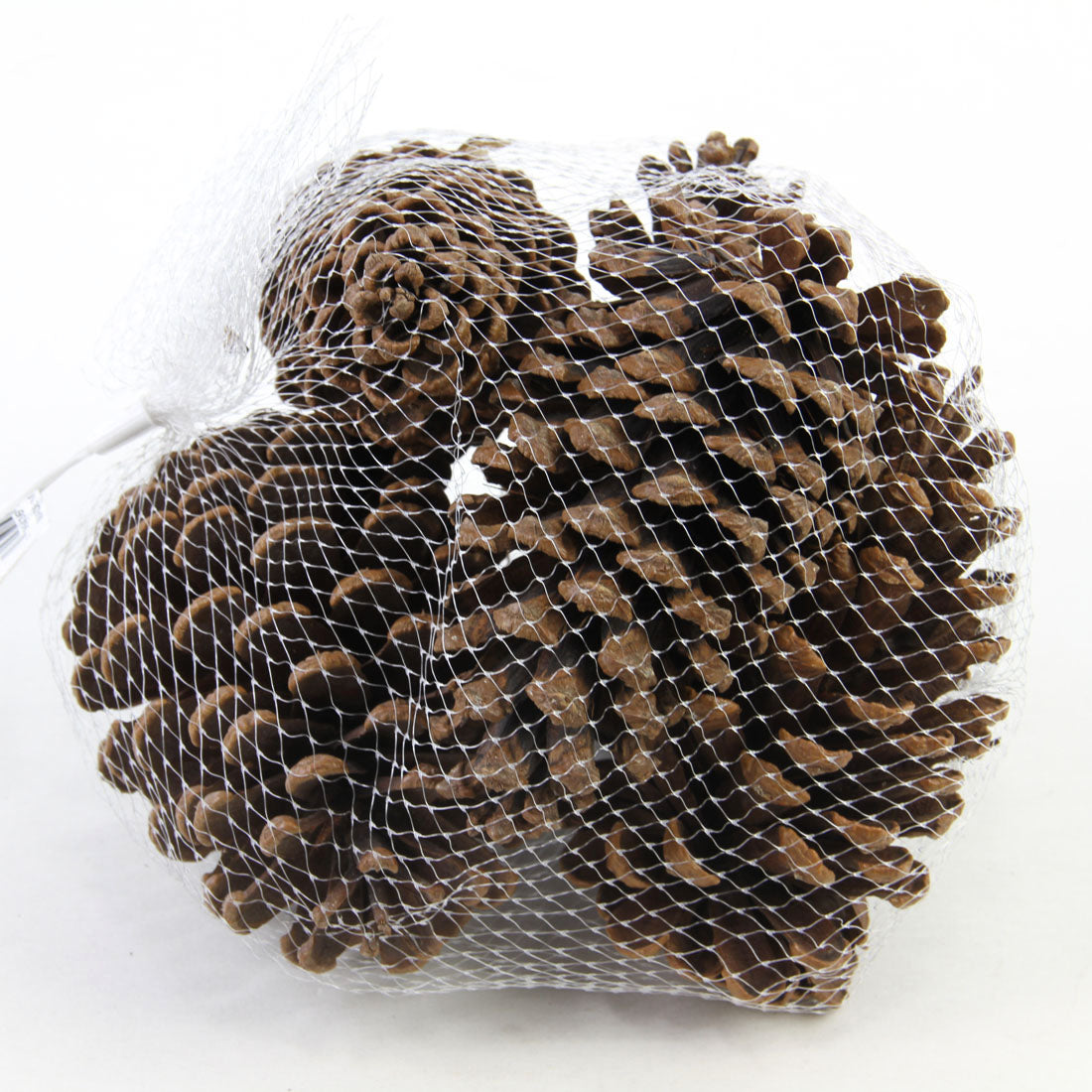 5-6.25"PINECONES 5/BG NATURAL