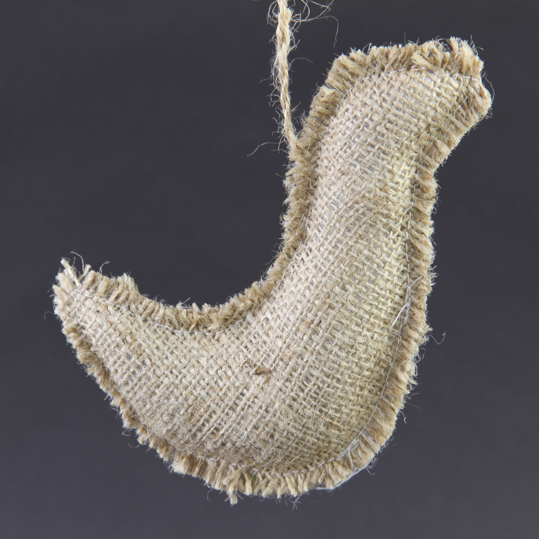 2"X6.5"BURLAP BIRD ORNA A4