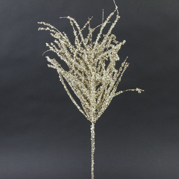 CHAMPAGNE PINE SPRAY