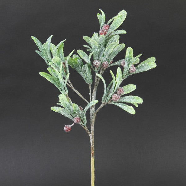 MISTLETOE PICK