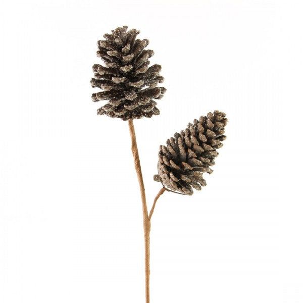 PINE CONE SPRAY