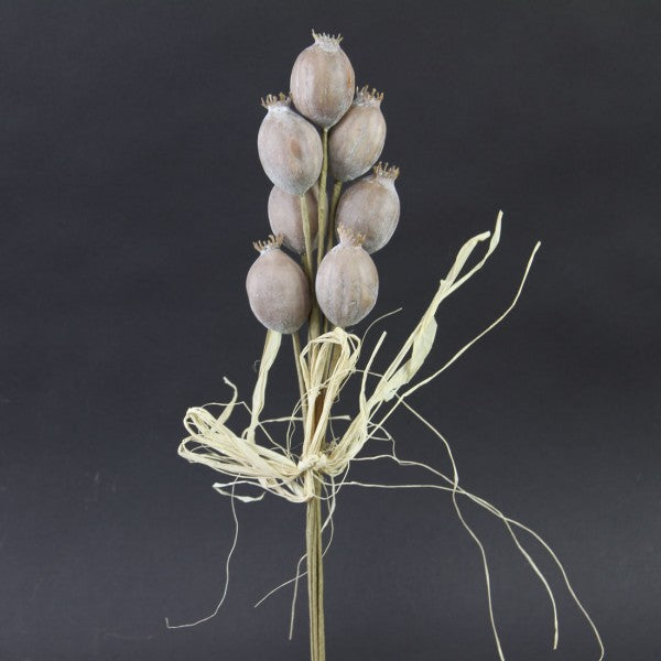 POD BUNDLE W/RAFFIA